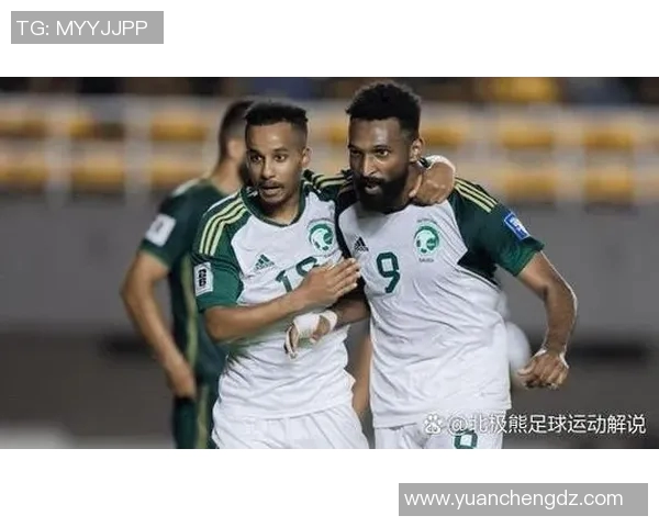 足球明星私享球场独特风景尽显豪华魅力与运动激情