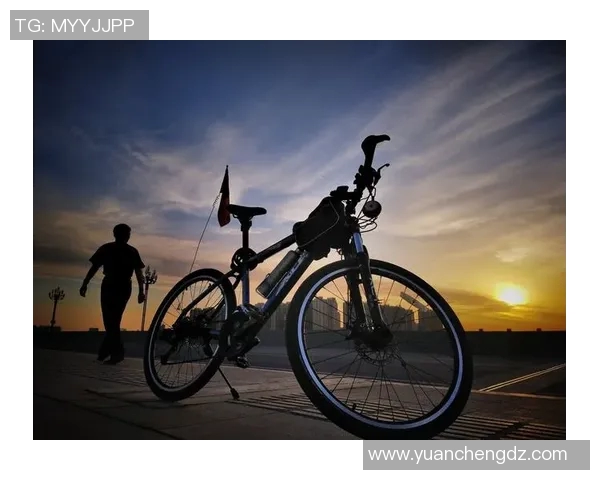 从洗碗工到足球明星的逆袭人生：追梦路上的坚持与奋斗