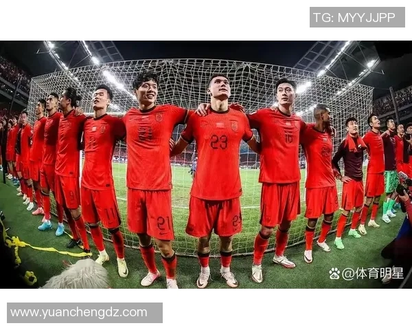 中国足球前锋明星的崛起与成就解析，展现他们在国际舞台上的辉煌表现